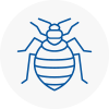 Bed Bug Extermination In Fontwell