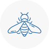 Bee Nest Removal Fontwell