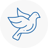 Bird Prevention Fontwell