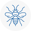 Fontwell Hornet Nest Removals
