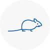 Mice Exterminators In Fontwell