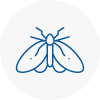 Moth Control Specialists In Fontwell
