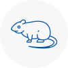 Rat Control Fontwell