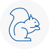 Fontwell Rodent Removals